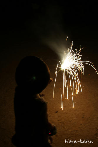 IMG_6249s.jpg