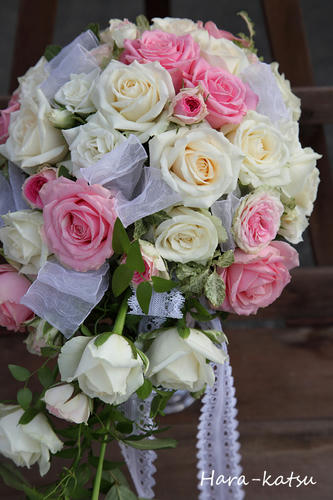 IMG_6453s.jpg