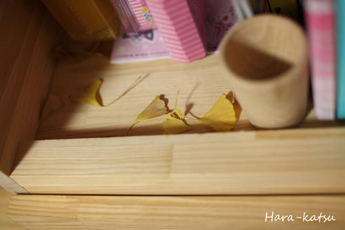 IMG_7814s.jpg