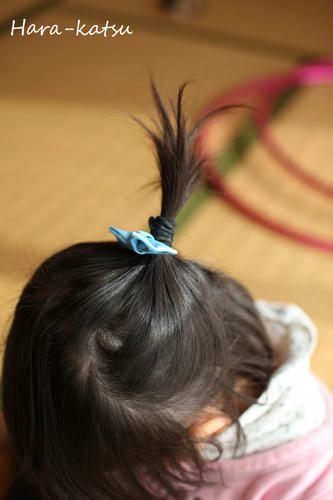 IMG_8341s.jpg