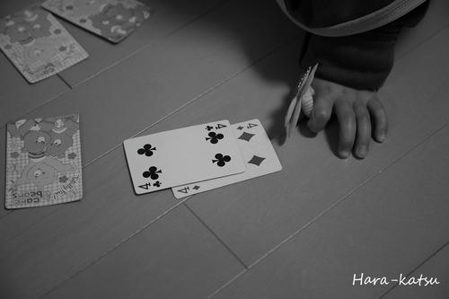 IMG_8722s.jpg