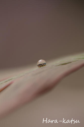 IMG_9913s.jpg