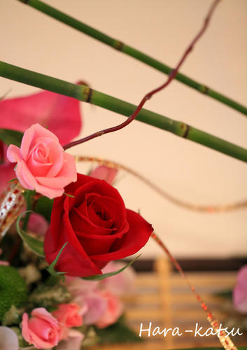 IMG_0021s.jpg