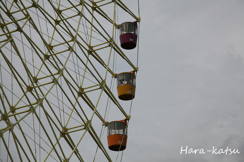 IMG_8943s.jpg