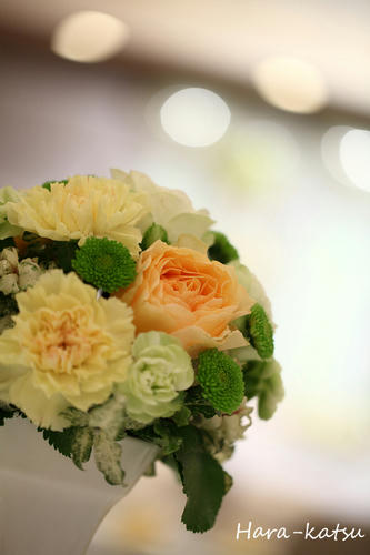 IMG_9277s.jpg