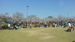 20130330_144711.jpg