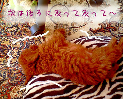 腰伸ばし