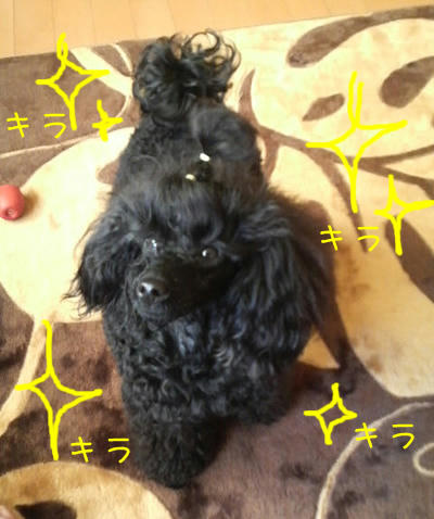 おー!ごーじゃす!