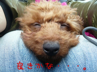 良きかな、の目