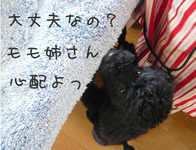 心配!