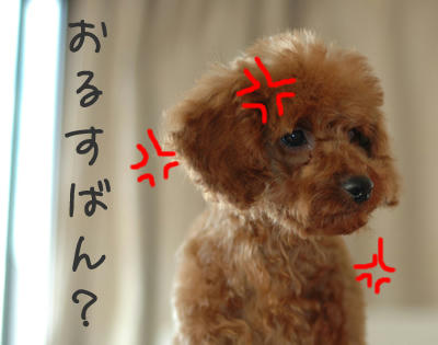 なんだとお!?