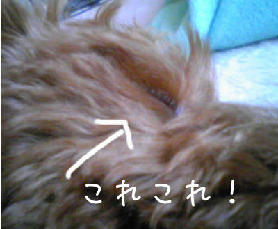090318_2.jpg