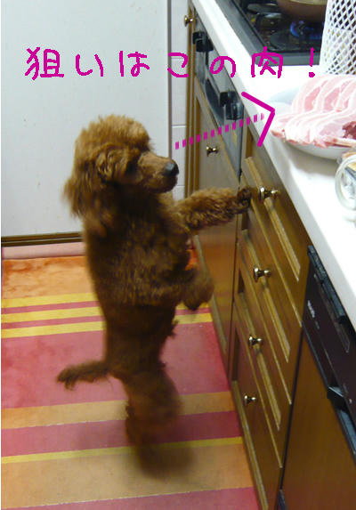 肉♪