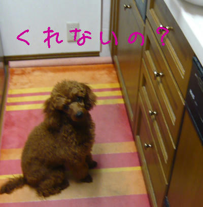 待ってるのに。