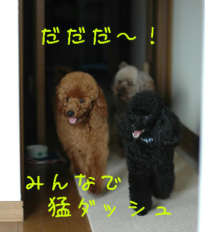 競争！