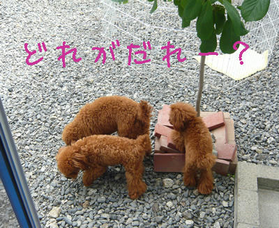 まぎれてる？