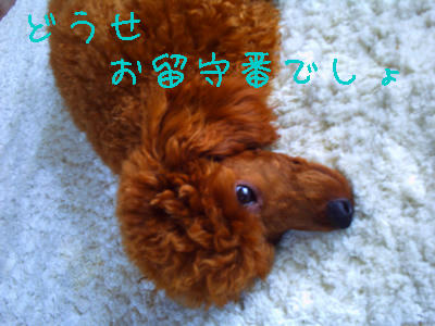 いじけむし