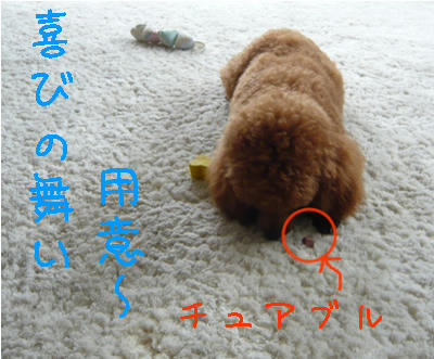用意