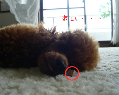 気が済んだ？