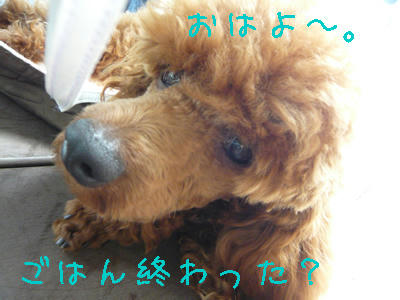ぼや～ん