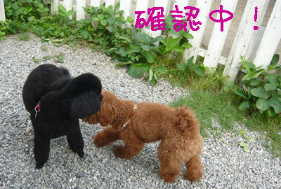 確認は大切でしょう