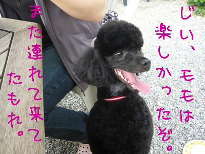 暑かったけどね