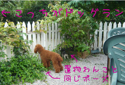 のぞいてます