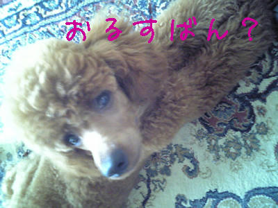 いじけむし