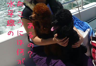 見てる見てる！