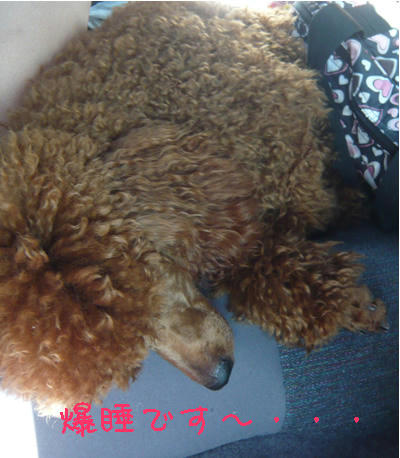 くるくるりん