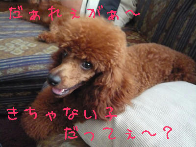 おつかれ~よろよろ。