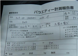 申請書