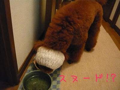 なんちゃってスヌード?
