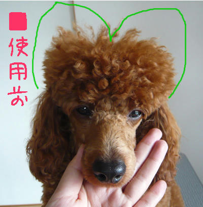 若葉マーク？？