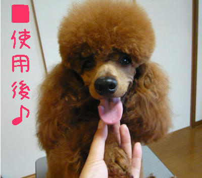 にっこり