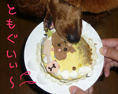 あぁぁ～・・・