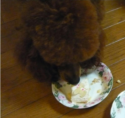 かぐあっというま
