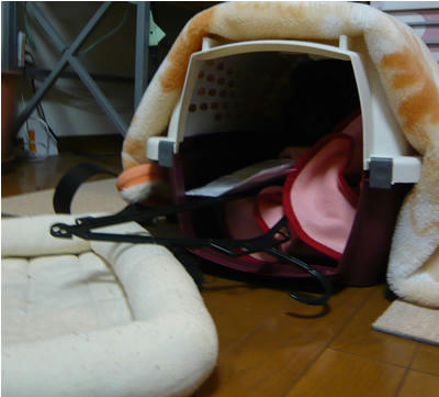 なんじゃこりゃ