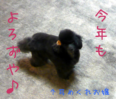 ことよろ