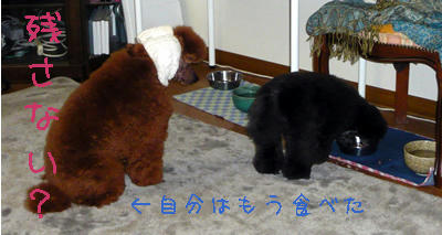 交信？