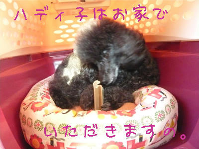 神楽サイズなんですが・・・