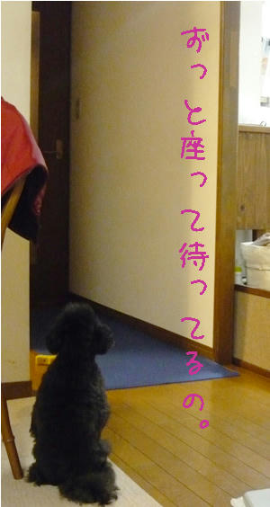 忠犬ハディ子？