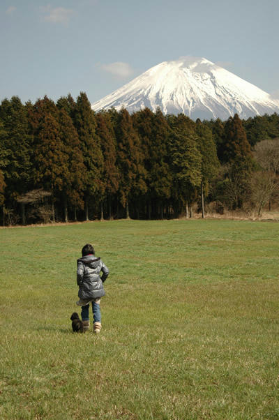 富士山