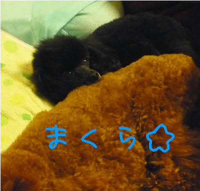 枕にされてるだけ？