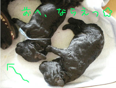 同じ格好？