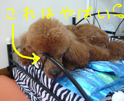 怖いですから・・・・
