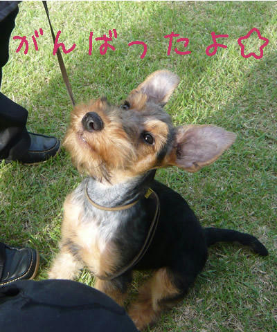 おりこうさんだったよ！