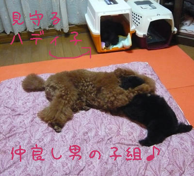 おとこぐみ