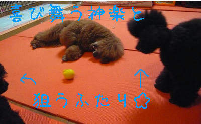 喜びの舞い