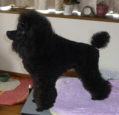 ゴムはピンクだけど。練習だから。